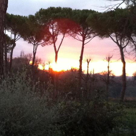 Villa Acquaviva Wine Resort Montemerano Buitenkant foto